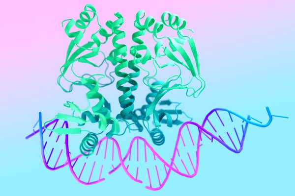 DeepMind AI Can Predict How Drugs Interact With Proteins Modern Science