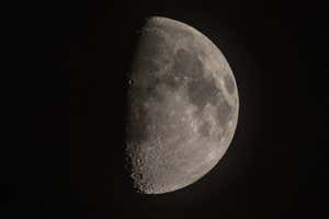 The moon