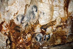 MARSEILLE, FRANCE - APRIL 20:Views of the cave paintings Cosquer cave in Marseille before the official opening the 4 june on April 20, 2022 in Marseille, France. As the replica cave officially opens its doors to visitors on June 4,2022,a team of archaeologists and divers are racing to save the ancient underwater cave paintings from climate change and marine pollution in south-east France. (Photo by Patrick Aventurier/Getty Images)