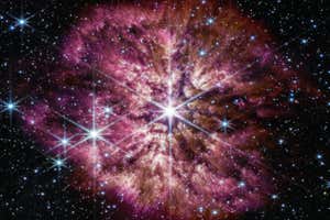 New Scientist Default Image
