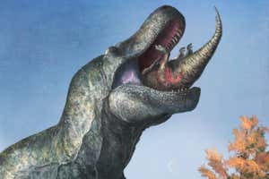 A Tyrannosaurus rex eats a juvenile Edmontosaurus