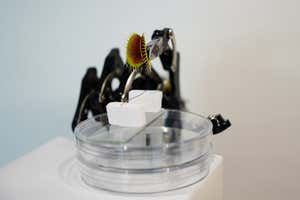 New Scientist Default Image