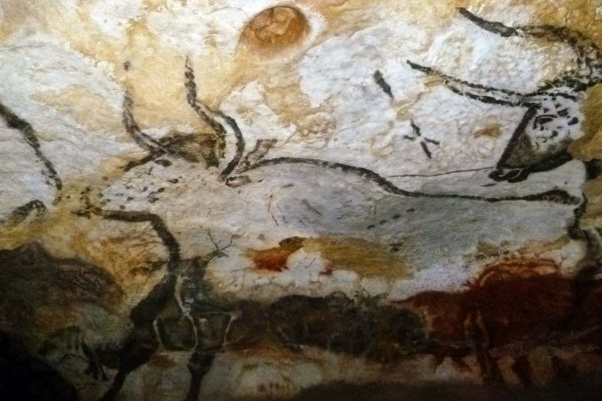 Cave painting of cattle