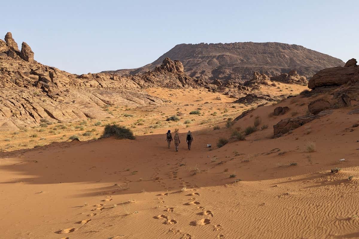 Saudi Arabian desert extreme heat experiment
