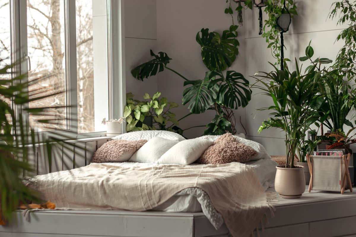 Cozy bright bedroom with indoor plants.Home interior design.Biophilia design,urban jungle concept.; Shutterstock ID 2170598701; purchase_order: -; job: -; client: -; other: -