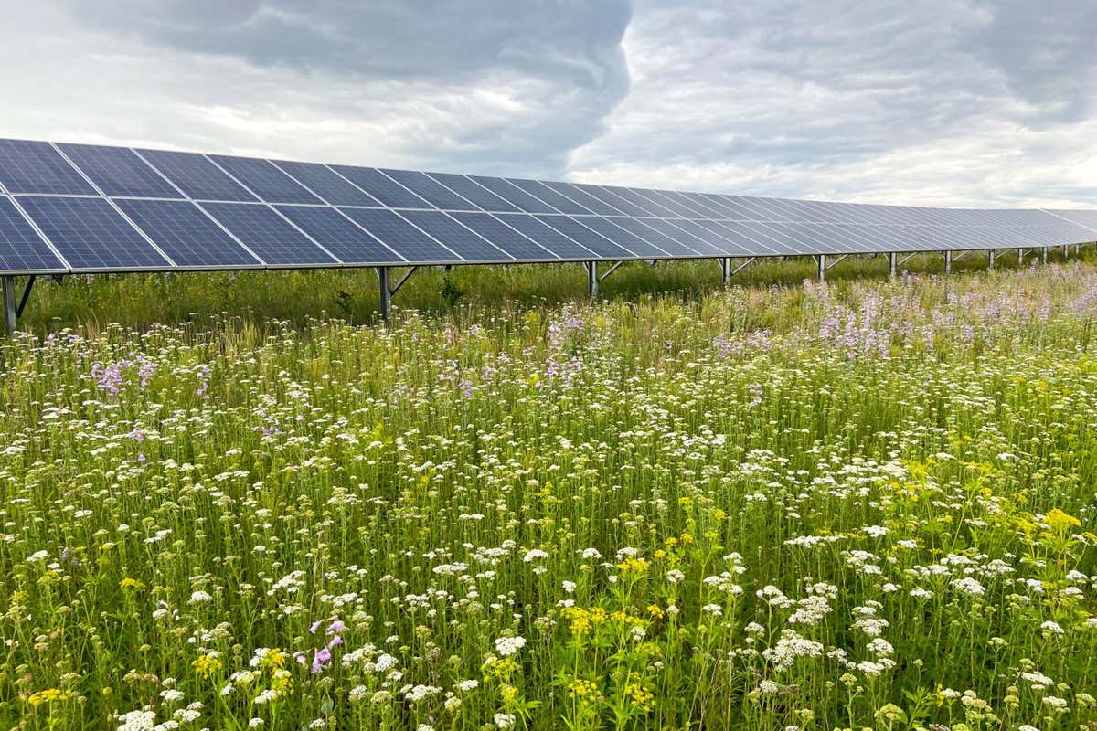Solar panels in a prairie field