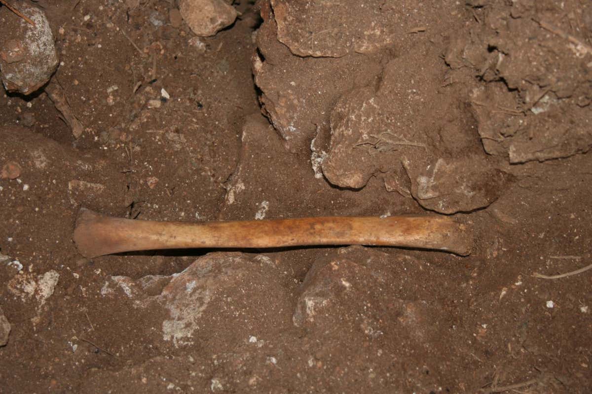 A human bone from up to 3900 BC found inside the Cueva de los Marmoles cave in Grenada, Spain