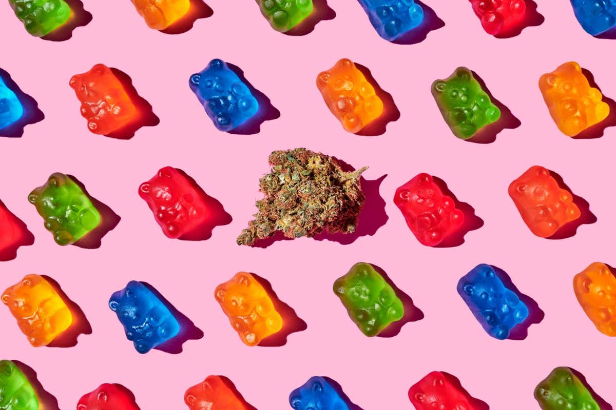 recreational marijuana with gummy bears on a pink background; Shutterstock ID 1649008399; purchase_order: -; job: -; client: -; other: -