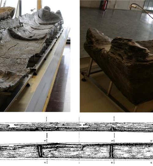 Ancient canoes hint at bustling trade in Mediterranean 7000 years ago