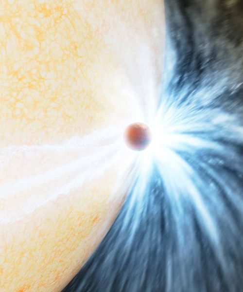 Billions of stars have swallowed up a planet