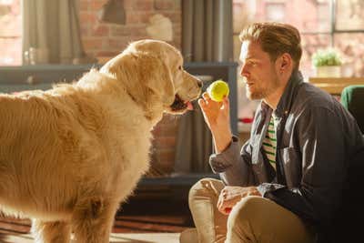 Dogs really do understand that words stand for objects – modern-science