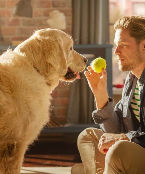 Dogs really do understand that words stand for objects