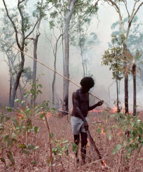 Indigenous Australians have managed land with fire for 11,000 years