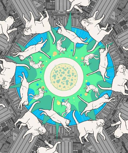 A new kind of experiment at the LHC could unravel quantum reality