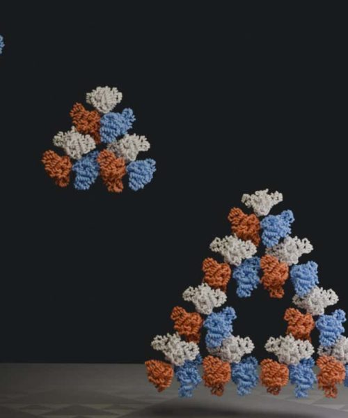 Fractal pattern identified at molecular scale in nature for first time