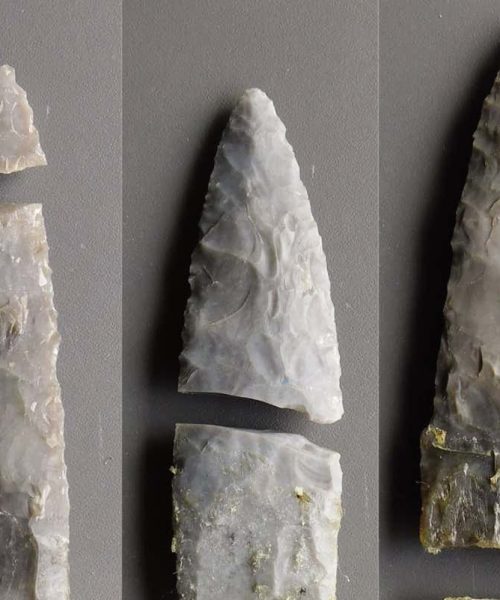 Stone Age blades could have been used for butchery, not just hunting