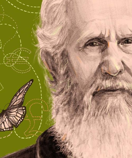 The man reinventing economics with chaos theory and complexity science