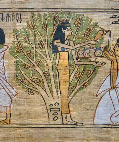 Wasabi could help preserve ancient Egyptian papyrus artefacts