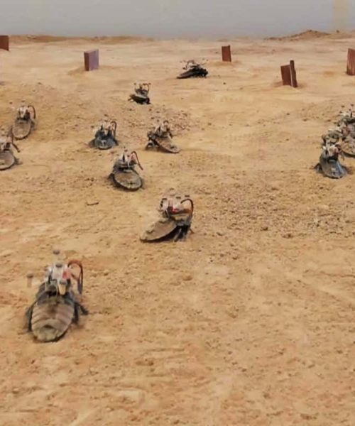 Watch a swarm of cyborg cockroaches controlled by computers