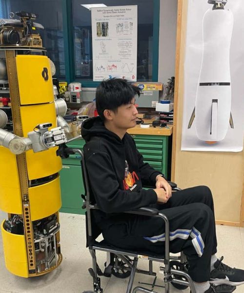Ball-balancing robot could assist wheelchair users