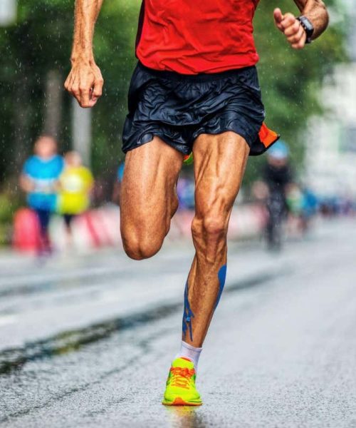 Did humans evolve to chase down prey over long distances?