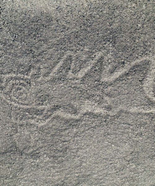 AI discovers hundreds of ancient Nazca drawings in Peruvian desert