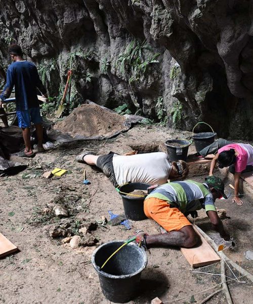 Ancient plant artefact reveals humanity’s epic journey to Australia