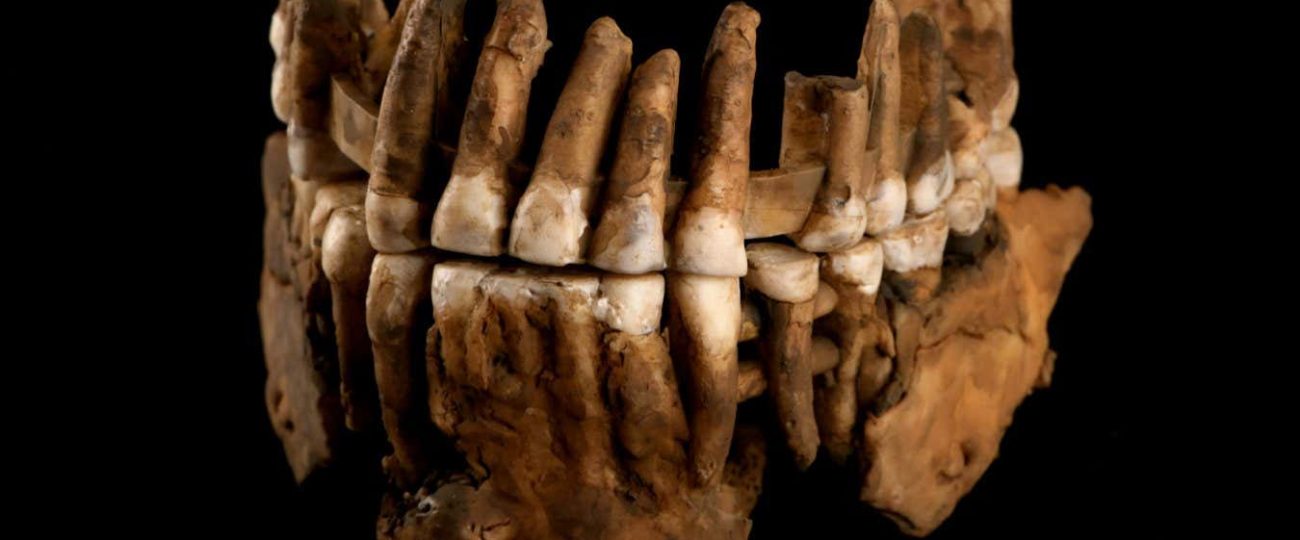 Genome of Neanderthal fossil reveals lost tribe cut off for millennia