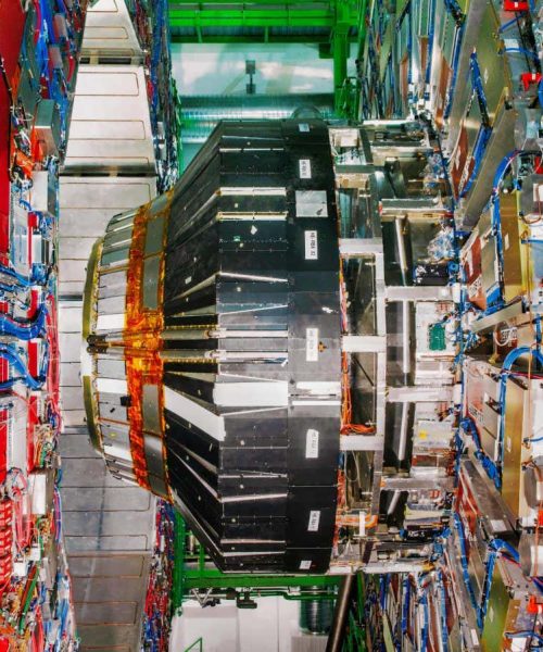 Hopes for new physics dashed by ordinary-looking W bosons at CERN