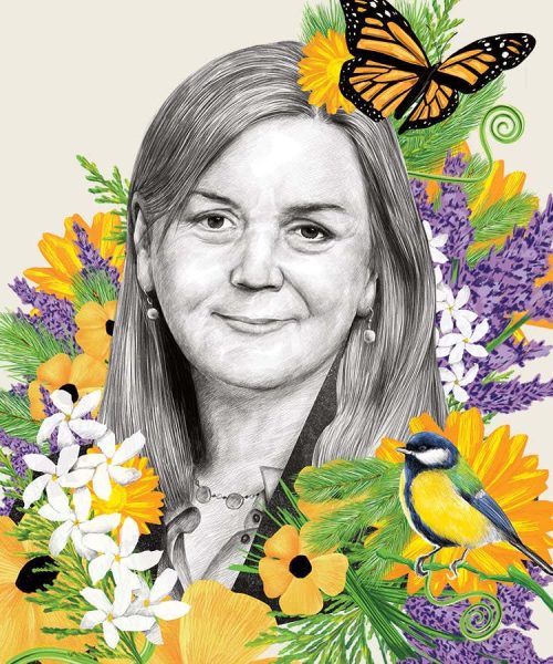 How the healing powers of botany can reduce anxiety and boost health