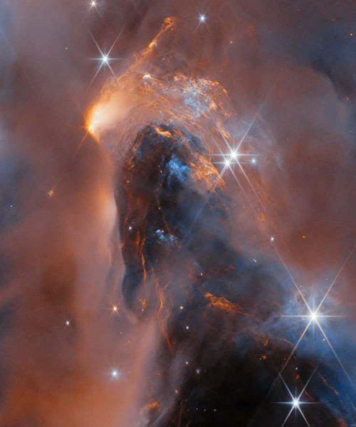 JWST found rogue worlds that blur the line between stars and planets