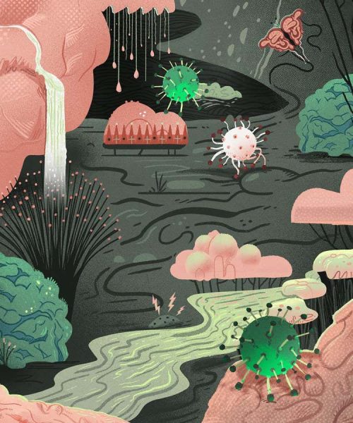 The brain has its own microbiome. Here’s what it means for your health