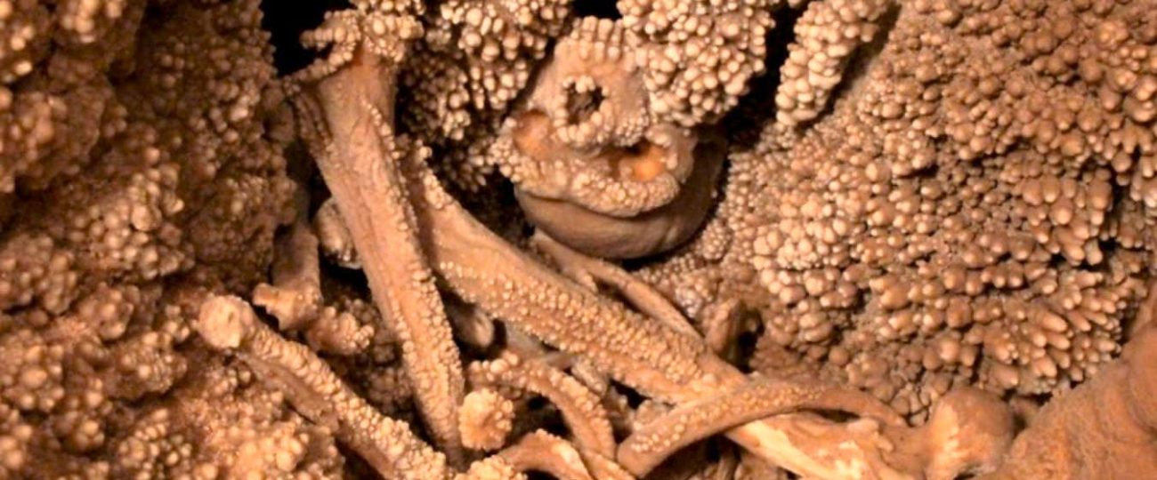 Why the amazing Altamura Man fossil remains a mystery