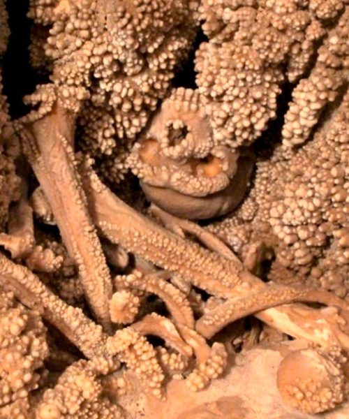 Why the amazing Altamura Man fossil remains a mystery