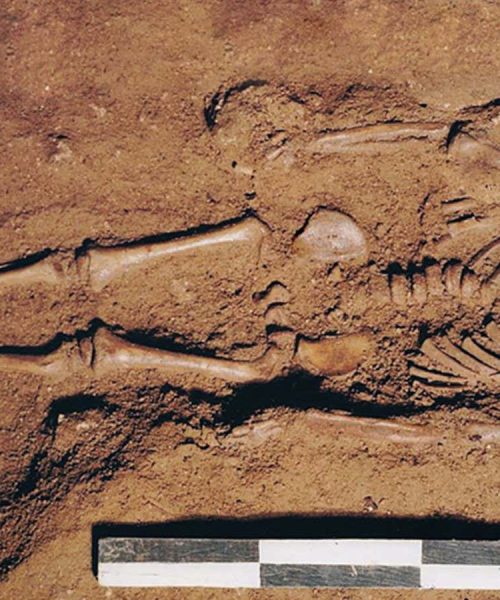 Ancient DNA tells story of toddler who lived in Italy 17,000 years ago