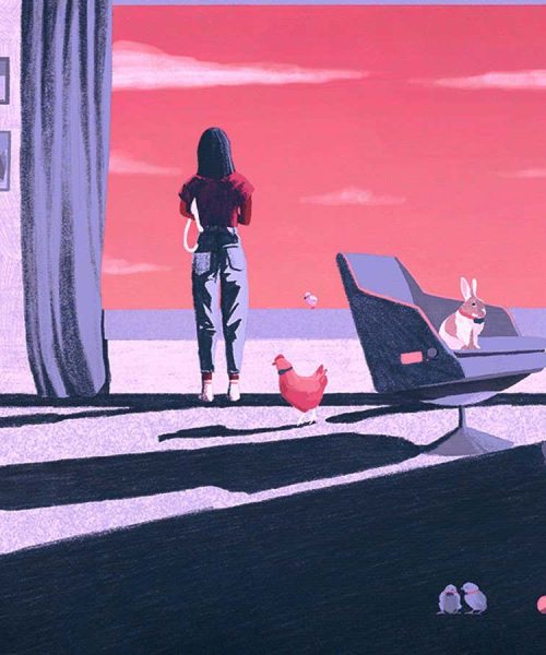 Are we really ready for genuine communication with animals through AI?