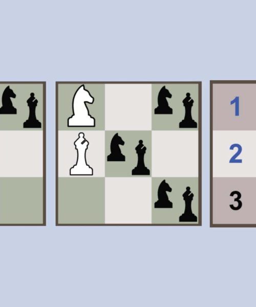 DNA computer can play chess and solve sudoku puzzles