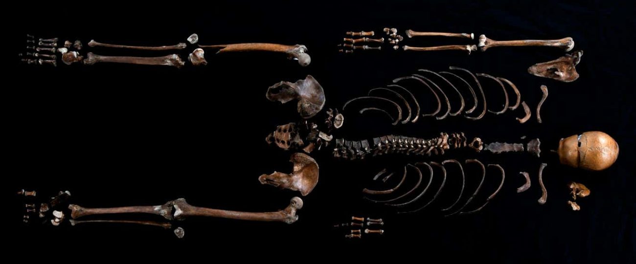 DNA helps match ‘Well Man’ skeleton to 800-year-old Norwegian saga
