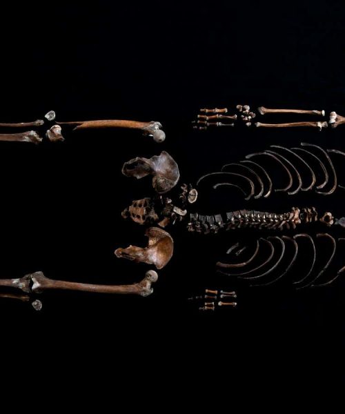 DNA helps match ‘Well Man’ skeleton to 800-year-old Norwegian saga