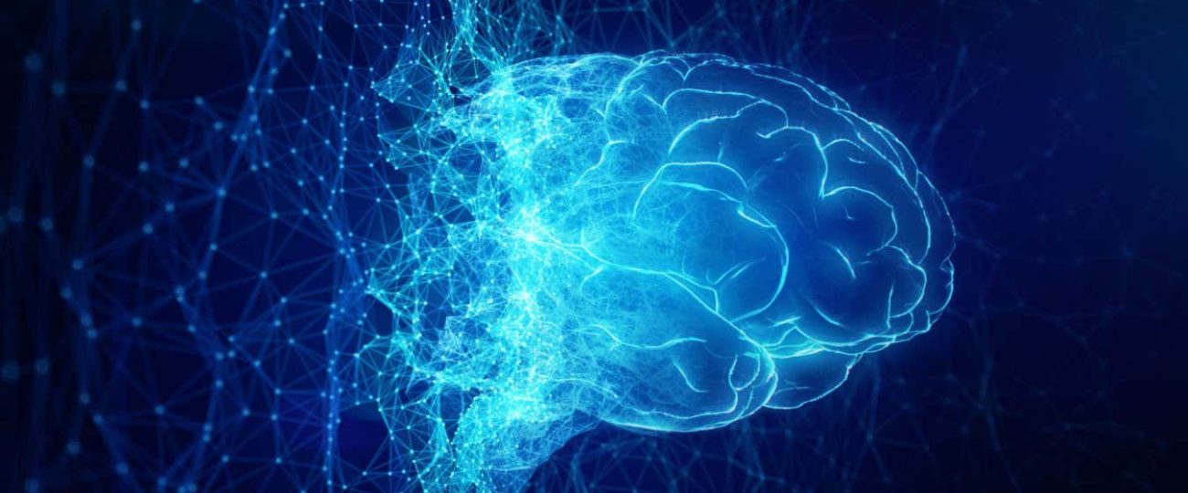 Do the 2024 Nobel prizes show that AI is the future of science?