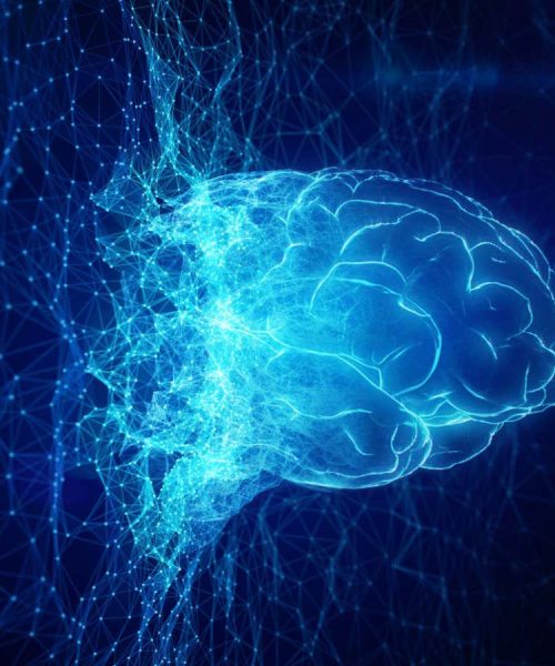 Do the 2024 Nobel prizes show that AI is the future of science?