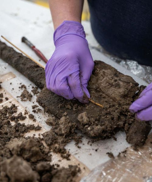 Extremely rare Bronze Age wooden tool found in English trench