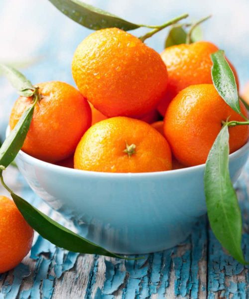 How the evolution of citrus is inextricably linked with our own