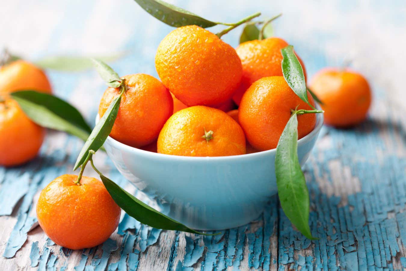 CEY867 fresh mandarins, oranges