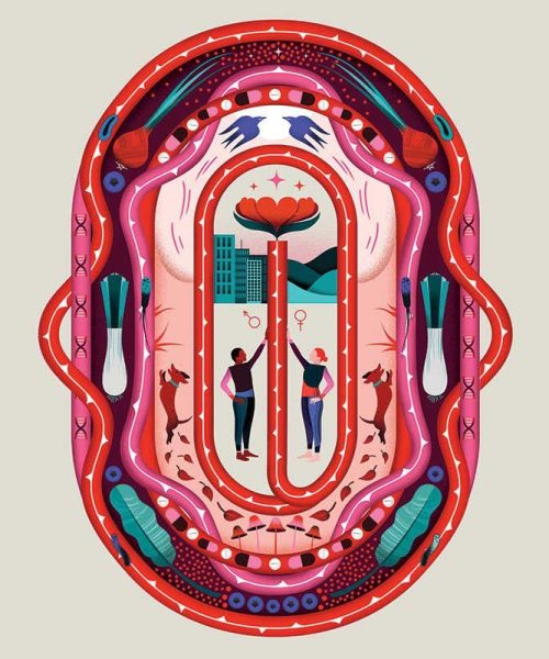 How to tell if your immune system is weak or strong