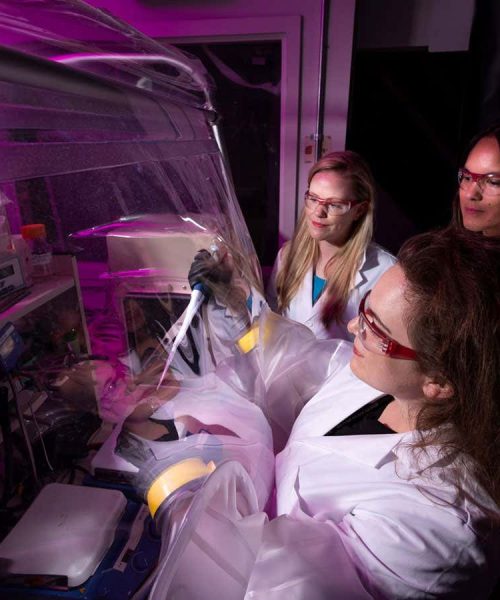 Inside NASA’s lab exploring conditions for life on other worlds