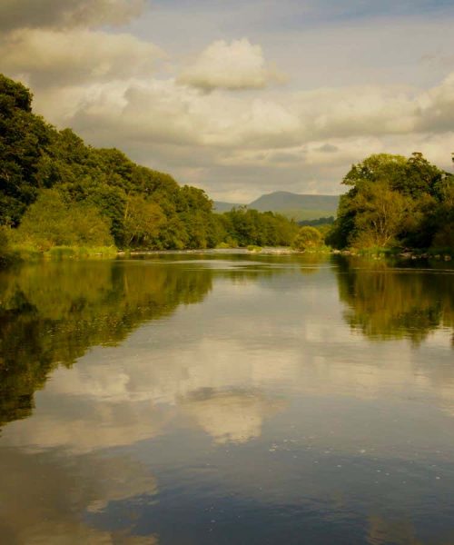 It’s time to celebrate a renaissance in English nature writing