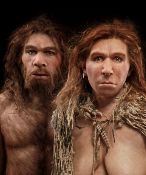 Read an extract from Rachel Kushner’s Creation Lake