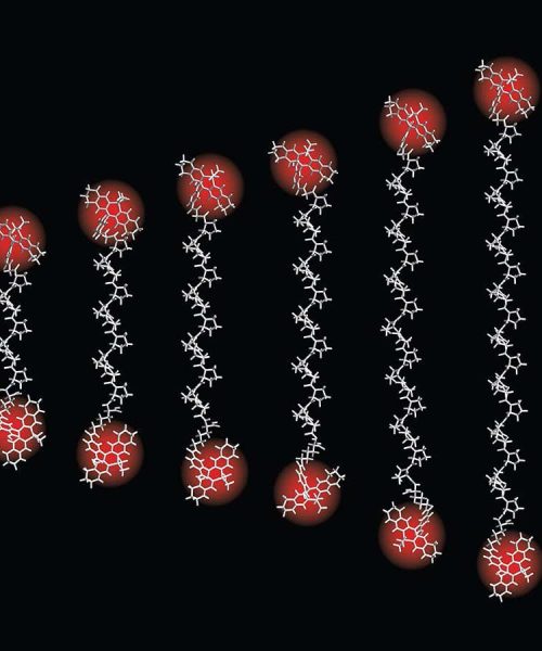 Tiniest ‘ruler’ ever measures distances as small as an atom’s width