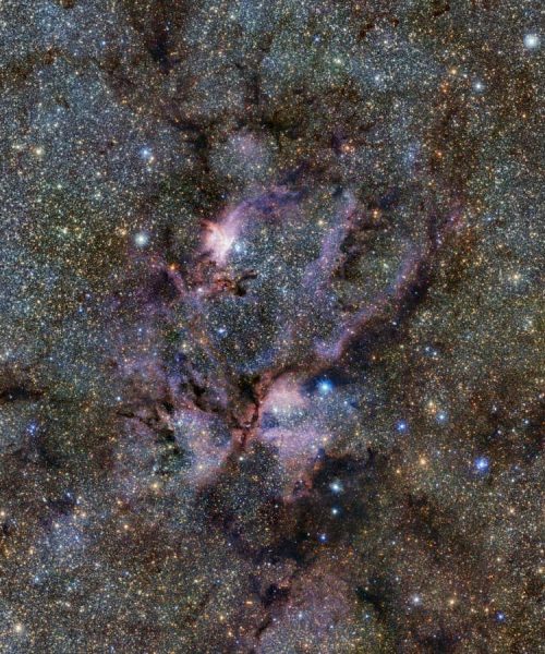 Why this is a golden age for life to thrive across the universe